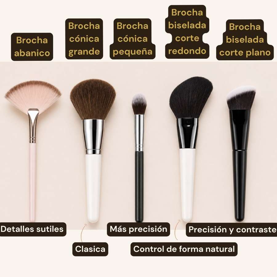 Brochas para polvos